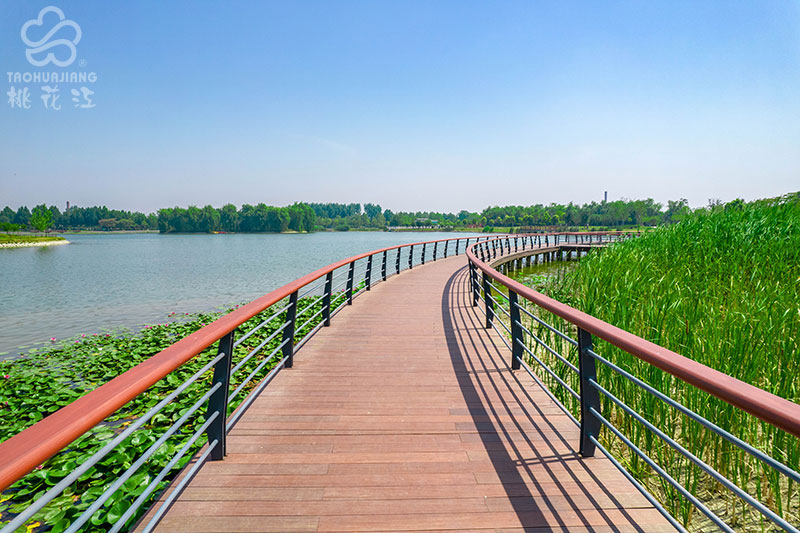 鄭州東虢湖公園